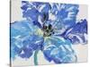 Fleur Bleue I-Tim OToole-Stretched Canvas