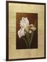 Fleur de Iris-Virginia Huntington-Framed Art Print