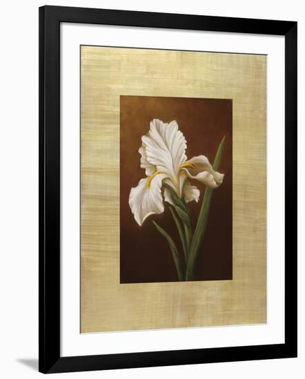 Fleur de Iris-Virginia Huntington-Framed Art Print