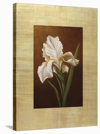 Fleur de Iris-Virginia Huntington-Stretched Canvas