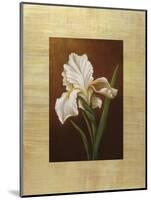 Fleur de Iris-Virginia Huntington-Mounted Art Print