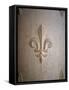 Fleur-de-lis Carved on Stone-null-Framed Stretched Canvas