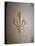 Fleur-de-lis Carved on Stone-null-Stretched Canvas