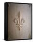 Fleur-de-lis Carved on Stone-null-Framed Stretched Canvas