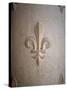 Fleur-de-lis Carved on Stone-null-Stretched Canvas