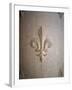 Fleur-de-lis Carved on Stone-null-Framed Photographic Print