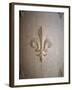 Fleur-de-lis Carved on Stone-null-Framed Photographic Print