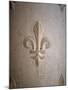 Fleur-de-lis Carved on Stone-null-Mounted Photographic Print