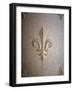 Fleur-de-lis Carved on Stone-null-Framed Photographic Print