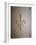 Fleur-de-lis Carved on Stone-null-Framed Photographic Print