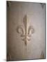 Fleur-de-lis Carved on Stone-null-Mounted Photographic Print