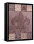 Fleur de Lis I-Todd Williams-Framed Stretched Canvas