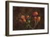 Fleur de Lis Tulips-Janel Pahl-Framed Giclee Print