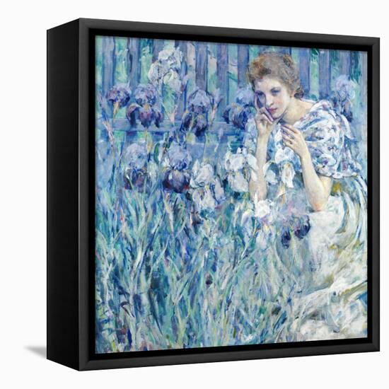 Fleur De Lis.-Robert Reid-Framed Stretched Canvas