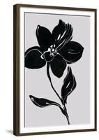 Fleur de Nuit I-Sandra Jacobs-Framed Giclee Print