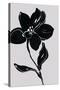 Fleur de Nuit I-Sandra Jacobs-Stretched Canvas