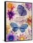 Fleur De Papillion 1-Morgan Yamada-Framed Stretched Canvas