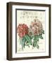 Fleur de Printemps-Sue Schlabach-Framed Art Print