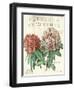 Fleur de Printemps-Sue Schlabach-Framed Art Print