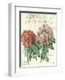 Fleur de Printemps-Sue Schlabach-Framed Art Print