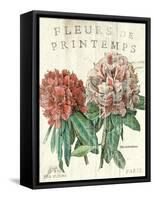 Fleur de Printemps-Sue Schlabach-Framed Stretched Canvas