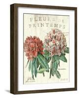 Fleur de Printemps-Sue Schlabach-Framed Art Print