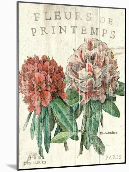 Fleur de Printemps-Sue Schlabach-Mounted Art Print