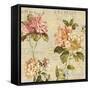 Fleur Paris I-Deborah Devellier-Framed Stretched Canvas