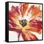 Fleur Rouge I-Tim OToole-Framed Stretched Canvas