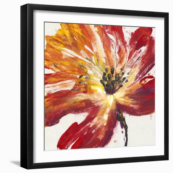 Fleur Rouge II-Tim OToole-Framed Art Print