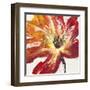 Fleur Rouge II-Tim OToole-Framed Art Print