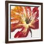Fleur Rouge II-Tim OToole-Framed Art Print