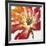 Fleur Rouge II-Tim OToole-Framed Art Print