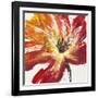 Fleur Rouge II-Tim OToole-Framed Art Print