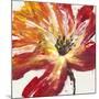 Fleur Rouge II-Tim OToole-Mounted Art Print