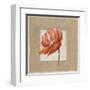 Fleur Rouge-Nathalie Andrieu-Framed Art Print