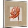 Fleur Rouge-Nathalie Andrieu-Mounted Art Print