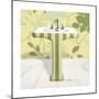 Fleur Sink 2-Diane Stimson-Mounted Premium Giclee Print