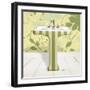 Fleur Sink 2-Diane Stimson-Framed Art Print