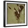 Fleur 'Ting Silhouettes III-Lanie Loreth-Framed Art Print