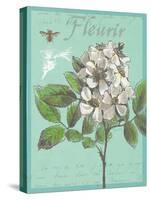 Fleurir Nouveau-Devon Ross-Stretched Canvas