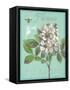 Fleurir Nouveau-Devon Ross-Framed Stretched Canvas