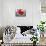 Fleurit en Rouge I-null-Mounted Art Print displayed on a wall