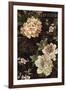 Fleurs Antique II-Deborah Devellier-Framed Art Print