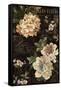 Fleurs Antique II-Deborah Devellier-Framed Stretched Canvas