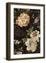 Fleurs Antique II-Deborah Devellier-Framed Art Print