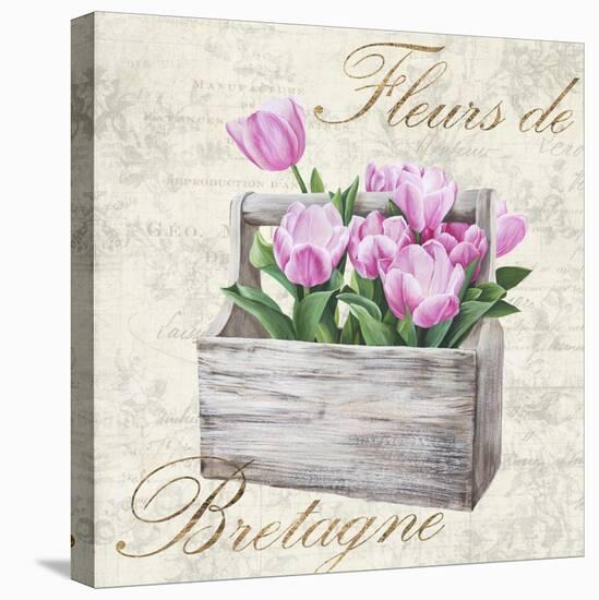 Fleurs de Bretagne-Remy Dellal-Stretched Canvas