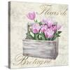 Fleurs de Bretagne-Remy Dellal-Stretched Canvas