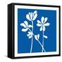 Fleurs de Matisse II Sq-Mercedes Lopez Charro-Framed Stretched Canvas
