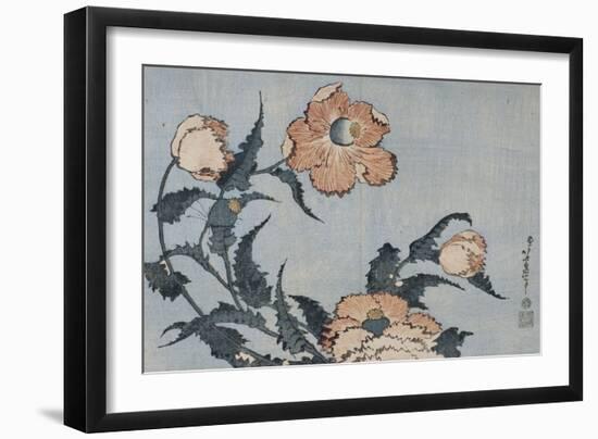 Fleurs de pavot dans la brise-Katsushika Hokusai-Framed Giclee Print